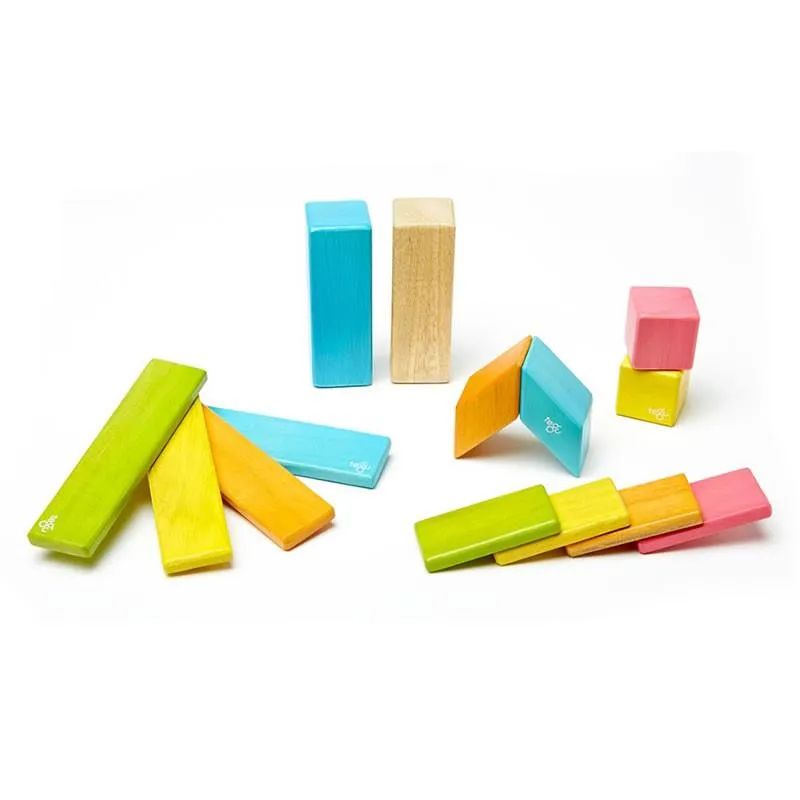 14 PC Tint TEGU Magnetic Wooden Block Set