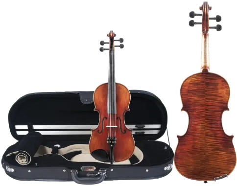 Amati Sacconi Strad AAA 4/4 Violin Outfit