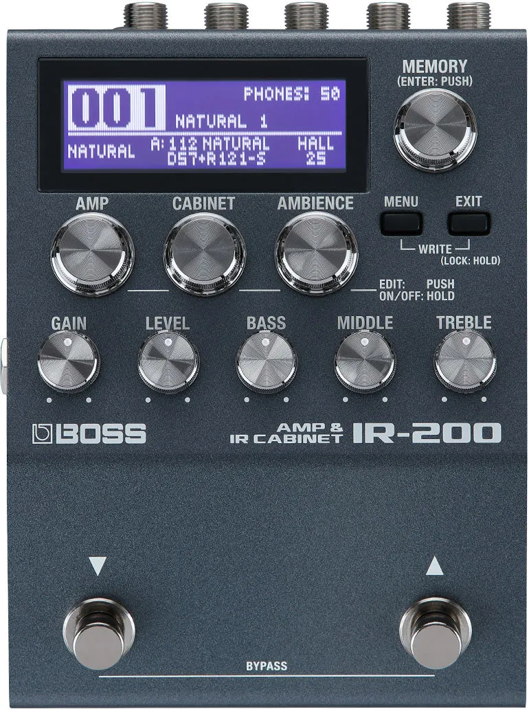 Boss IR-200 Amp & IR Cabinet