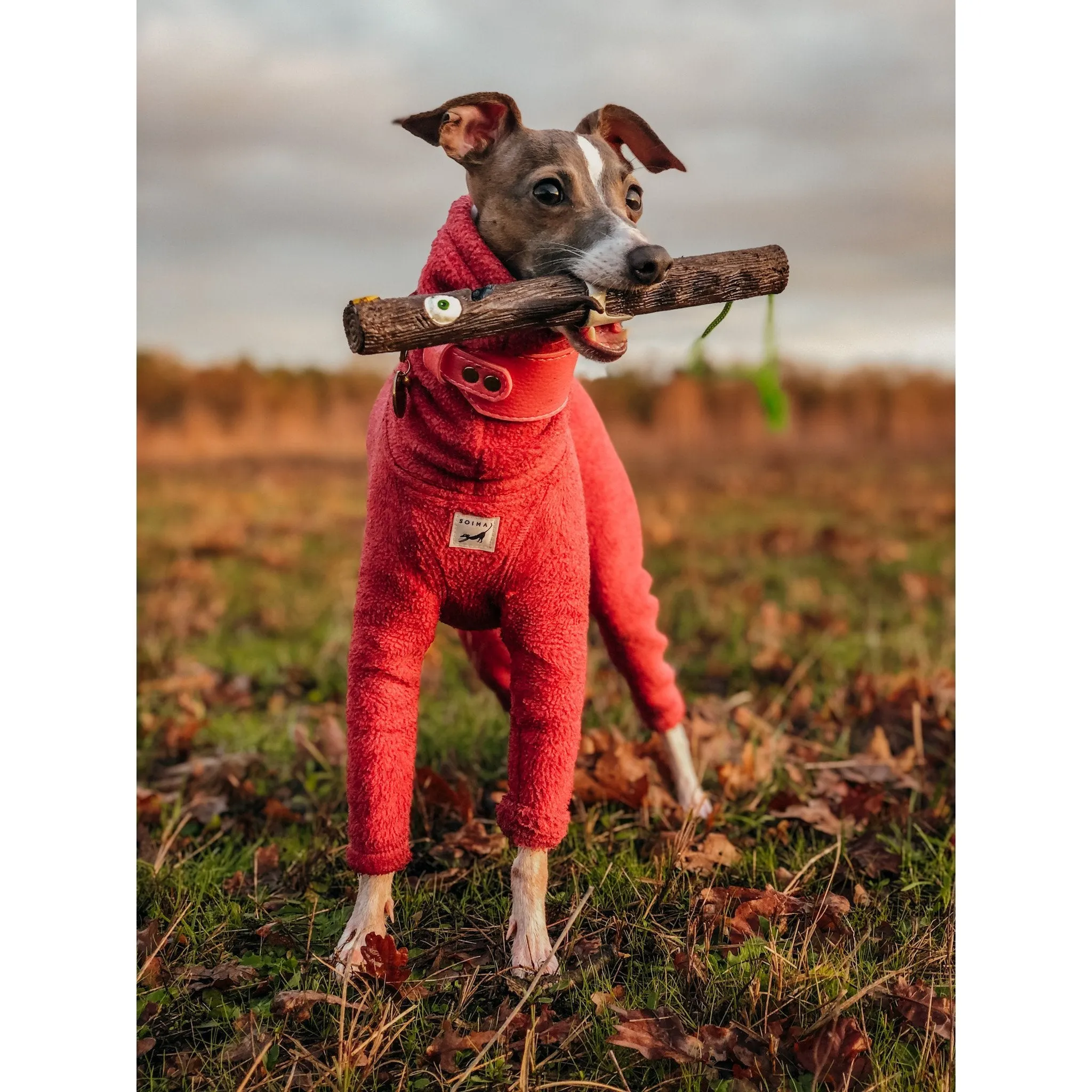 Doog Stick Dog Toy Captain Fantastick