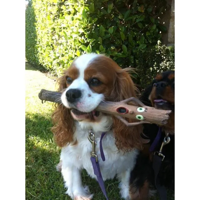 Doog Stick Dog Toy Elwood