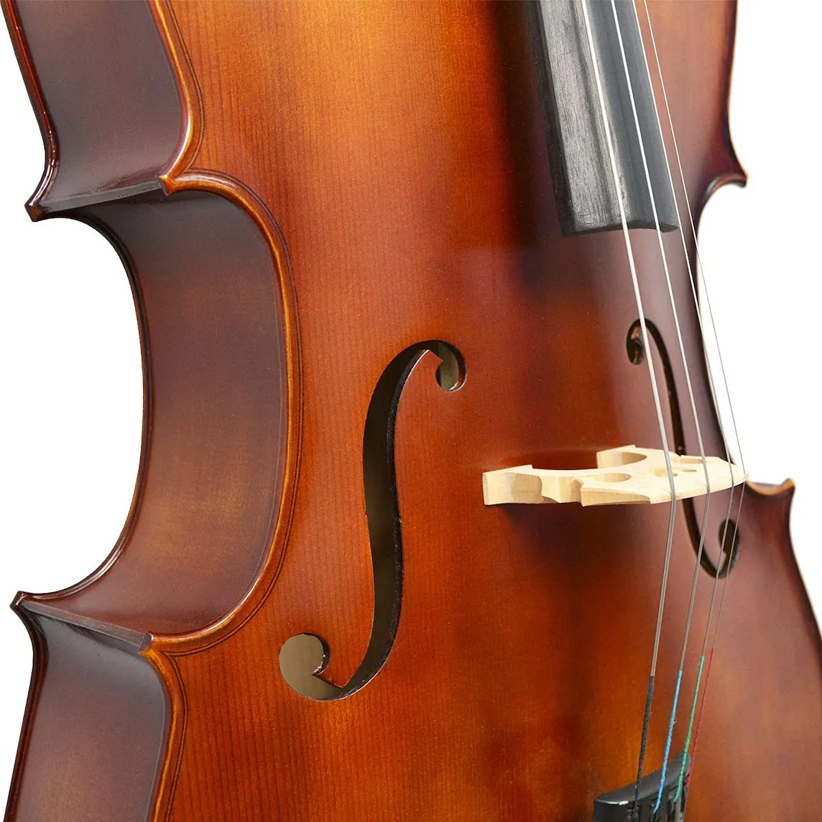 Forenza Prima 2 Cello