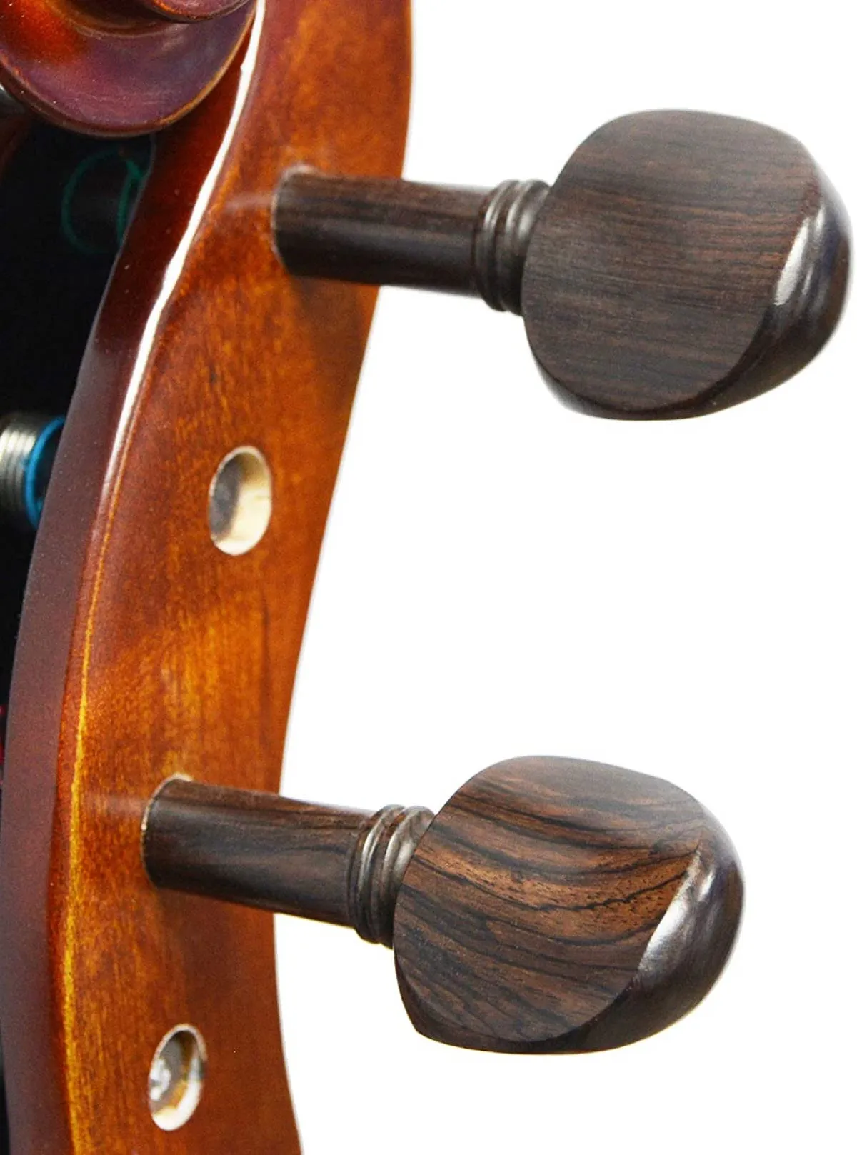 Forenza Prima 2 Cello