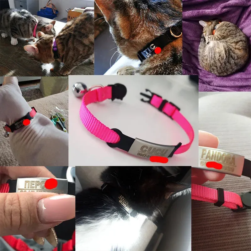 Personalized ID Free Engraving Cat Collar Safety Breakaway Small Dog Cute Nylon Adjustable for Puppy Kittens Necklace